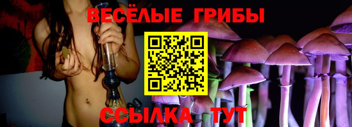Галлюциногенные грибы Psilocybine cubensis  Псилоцибиновые грибы Psilocybine cubensis  Кушва  наркота  Вход с VPN 